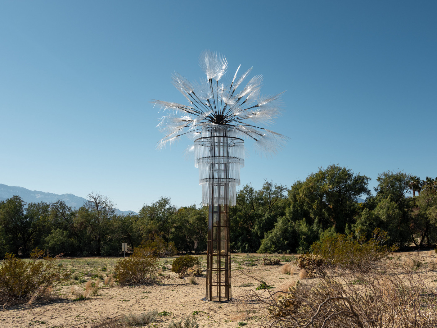 Photos by Lance Gerber