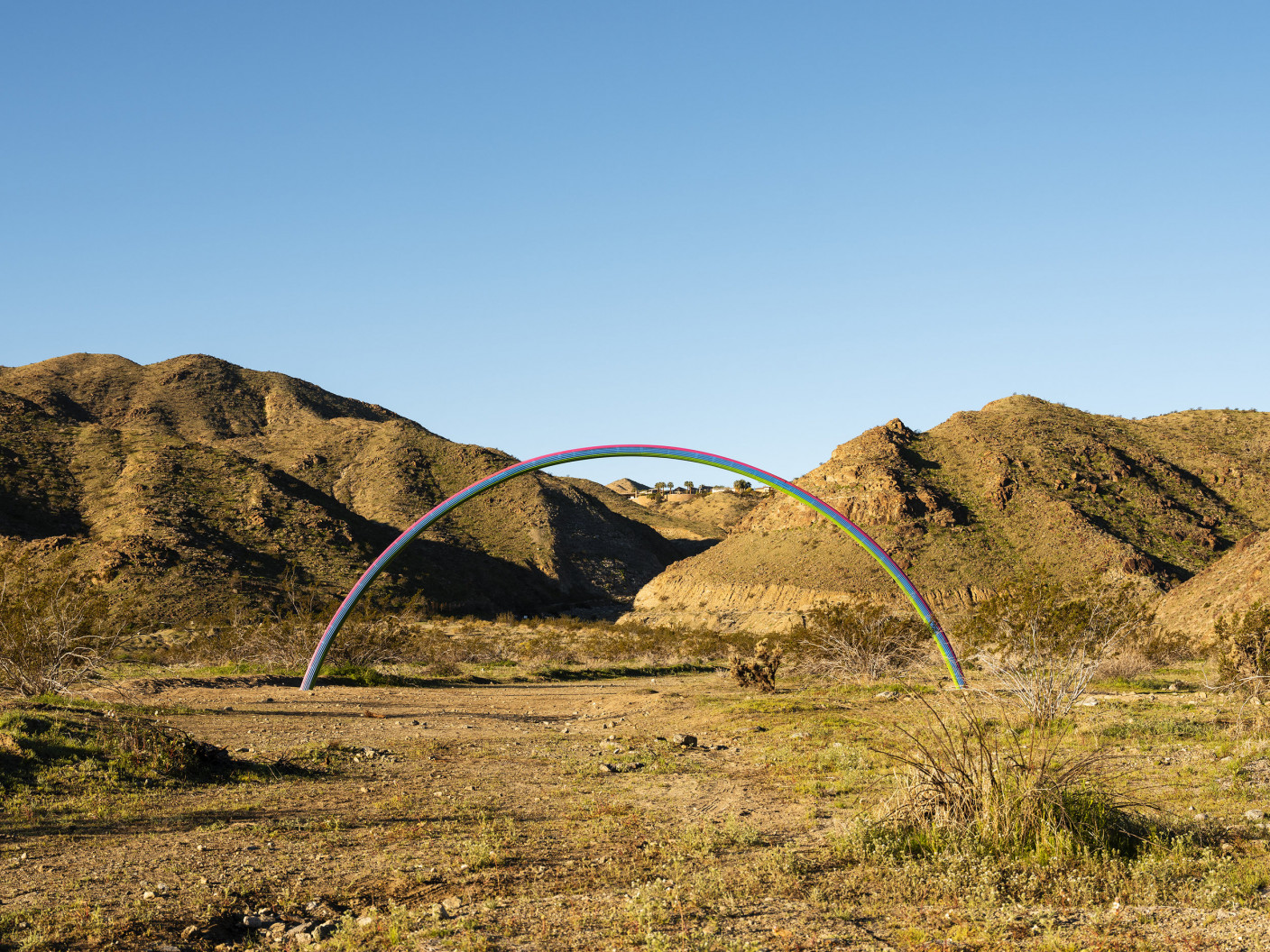 Photos by Lance Gerber