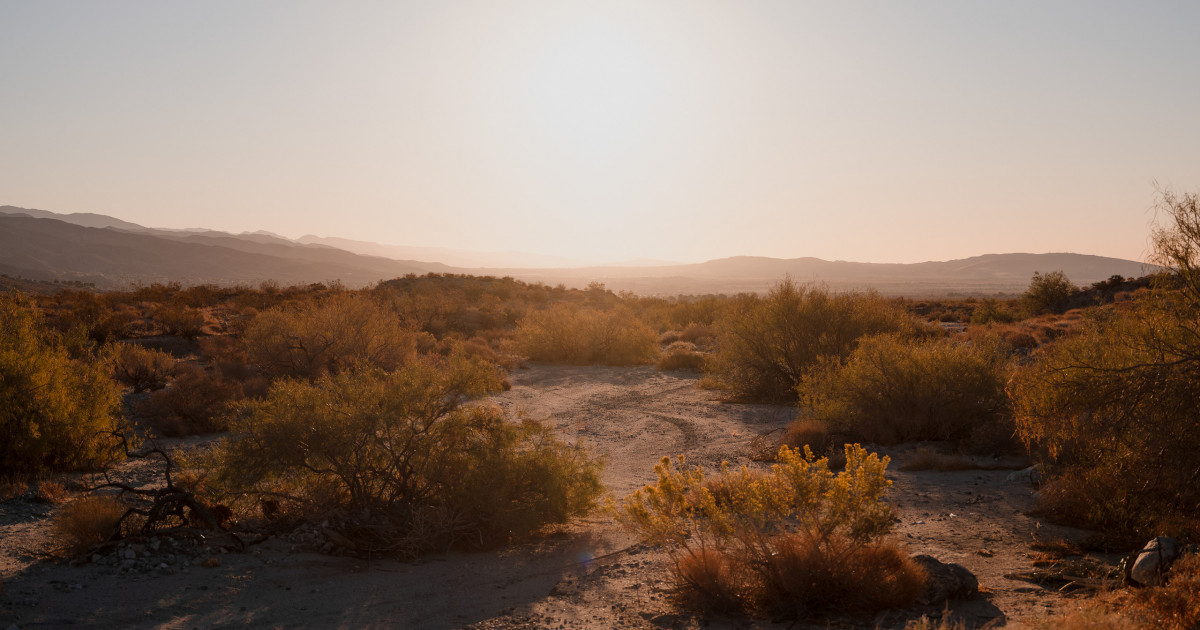 Desert X Desert X 2023 Announced